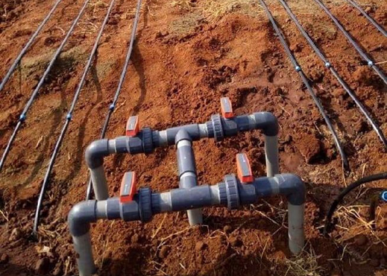 COMMERCIAL BOREWELL GROUNDWATER SURVEY