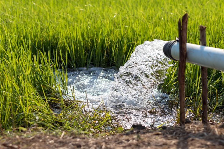 AGRICULTURE PLUMBING SERVICES